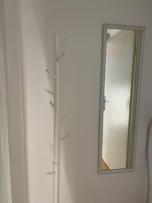 Ferienwohnung Erfurt Domplatz 외부 사진